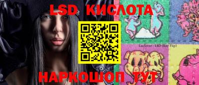 гидропоника Кингисепп